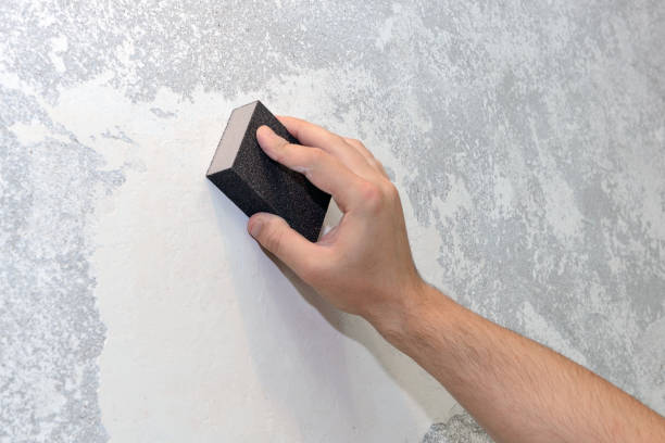 Best Attic Mold Removal  in South Hempstead, NY