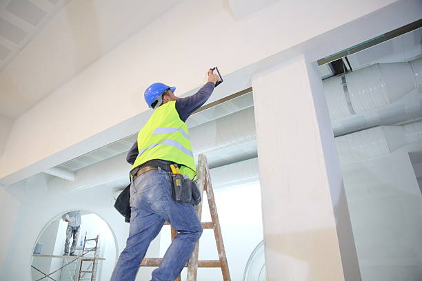 Best Mold Damage Restoration  in South Hempstead, NY