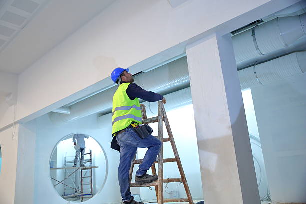 Best Commercial Mold Inspection  in South Hempstead, NY