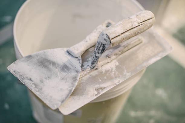 Best Mold Documentation for Insurance Claims  in South Hempstead, NY